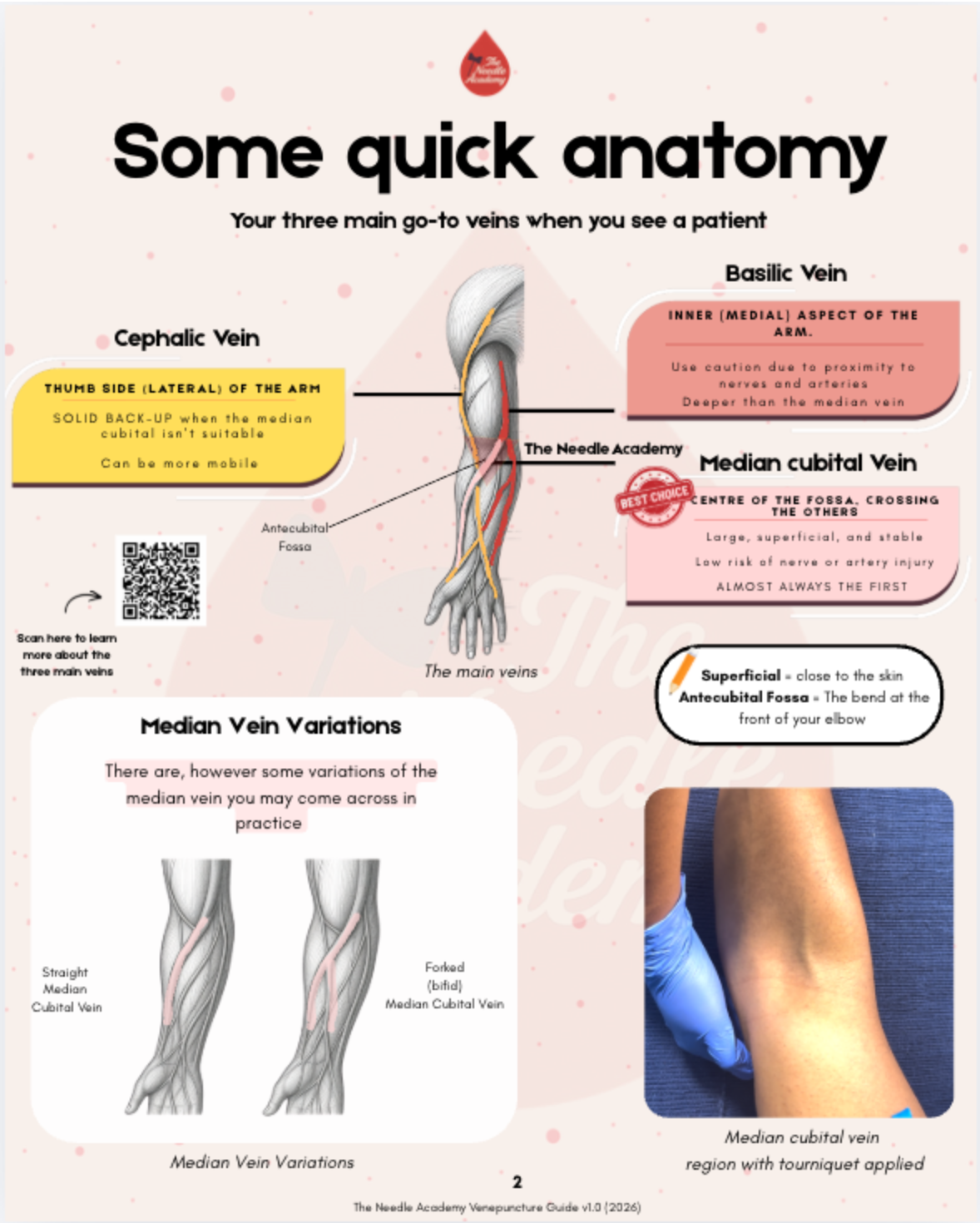 The Needle Academy Venepuncture Guide