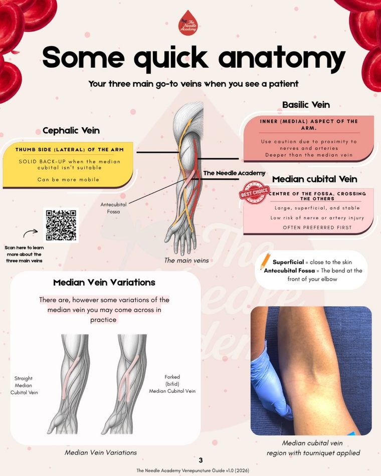 Cephalic, basilic and median cubital — plus the variations you'll see